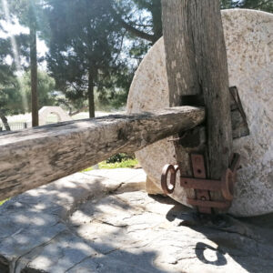 The wooden shaft: it has a millstone attached on the one end, while the other end is used to rotate the mill by hand or with the help of animals. Marpissa, Paros